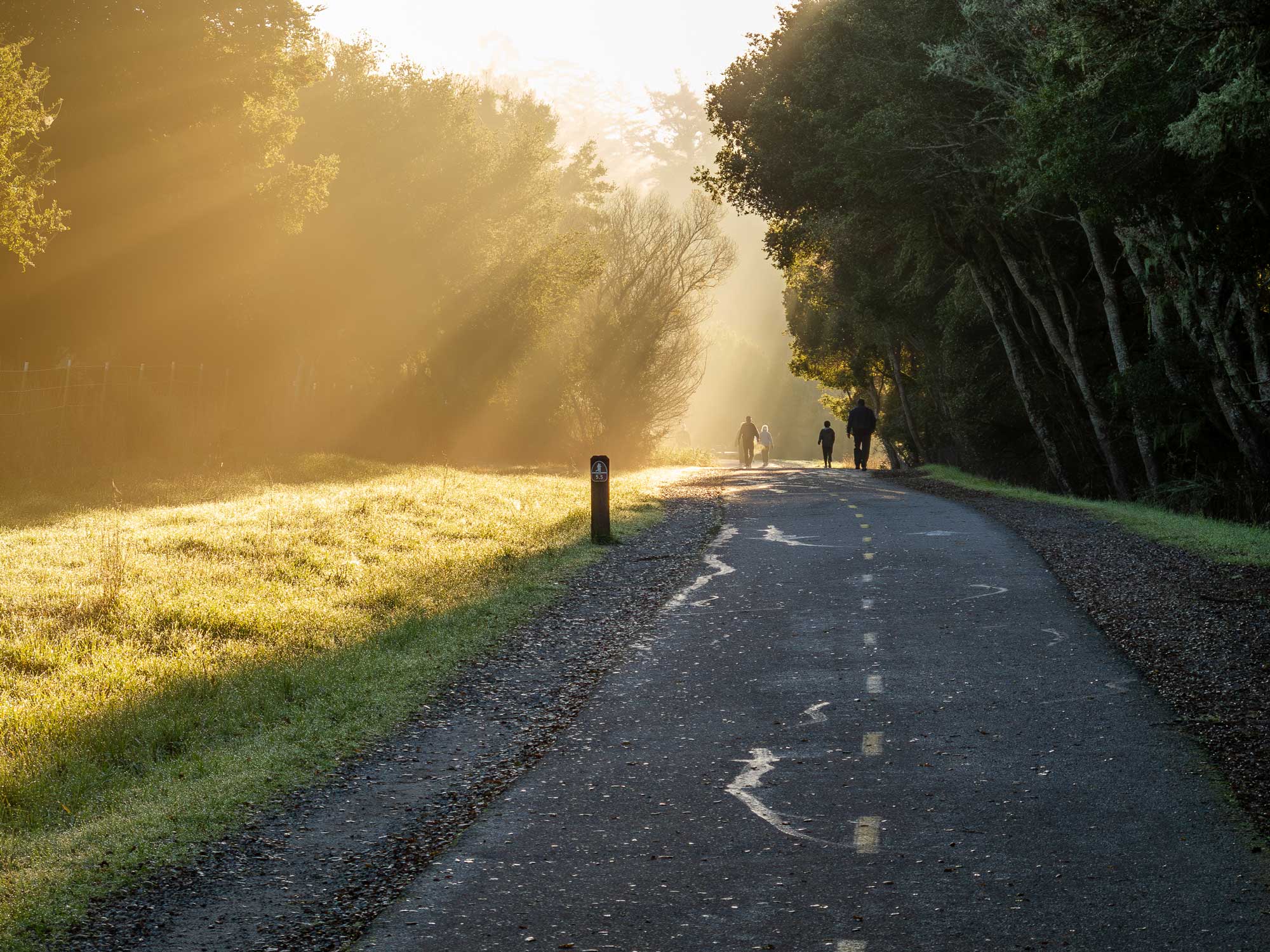 pathway people
