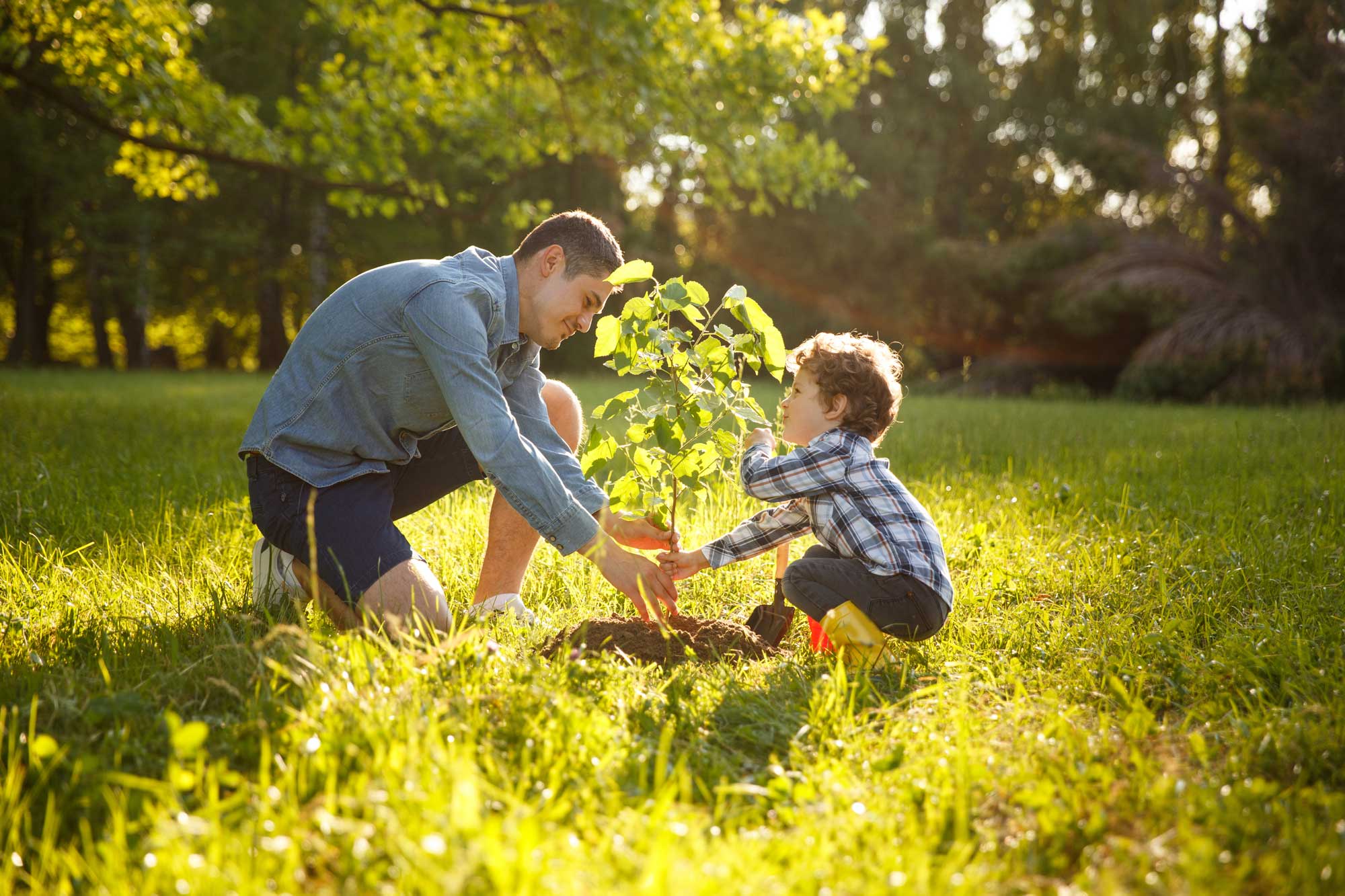 planting-for-future